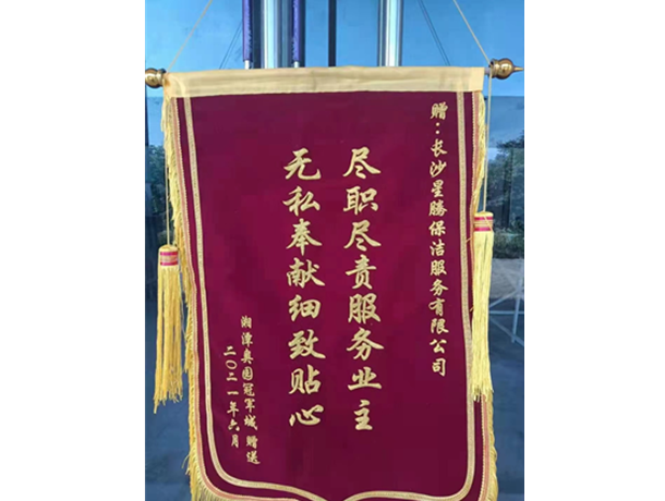 项目荣誉