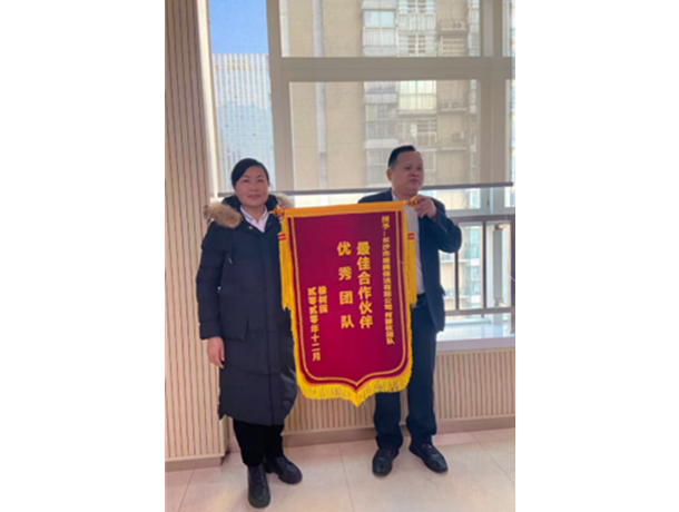 项目荣誉